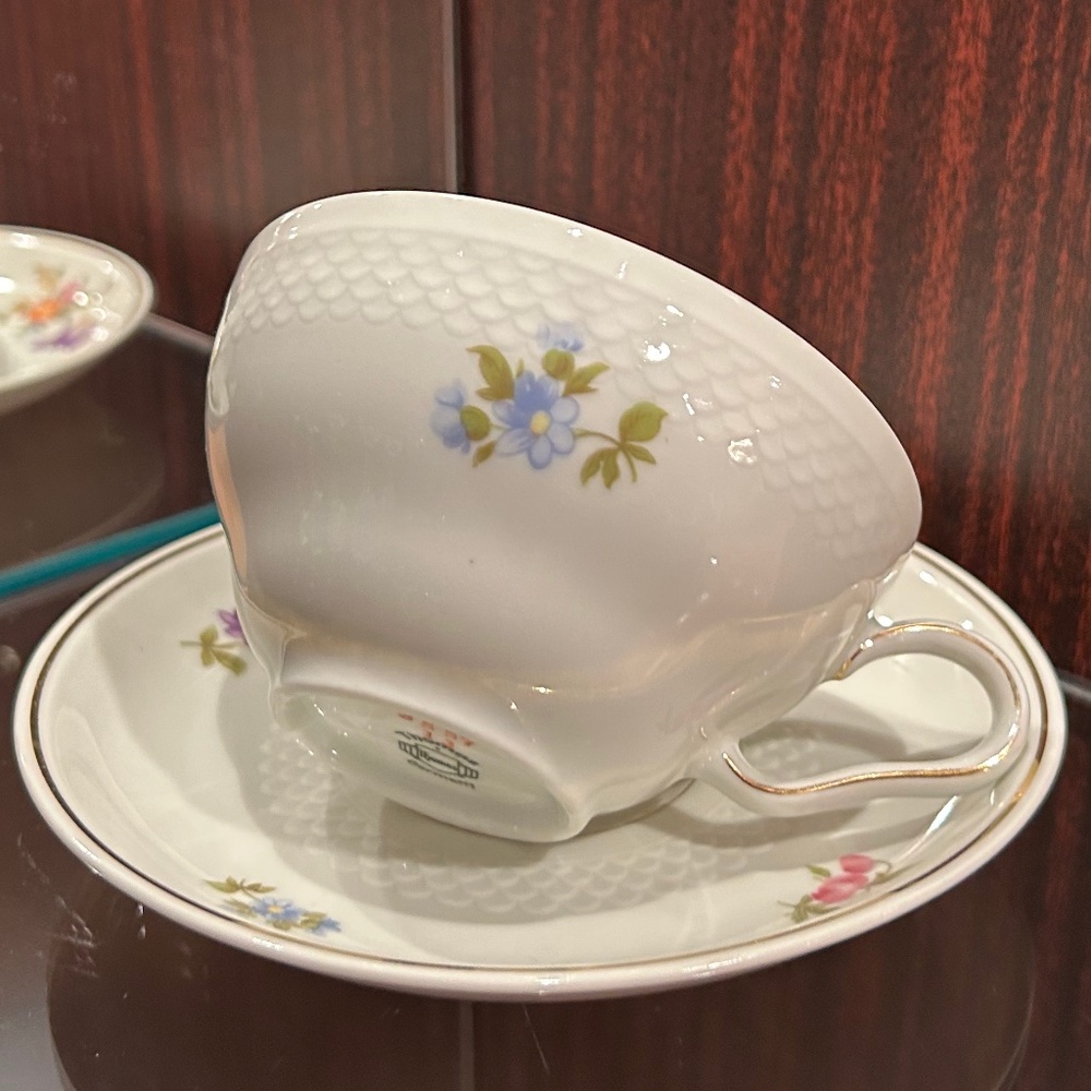 Vintage Thomas Porcelain Cup and Saucer Set Made in Germany